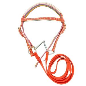 Horse Bridle and Reins Set for Riding Training