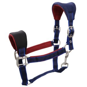 Horse Halter with Soft Cover for Daily Handling