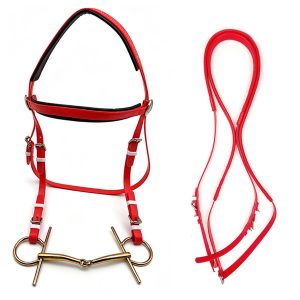 Horse Halter Set with Stainless Steel Snaffle Bit