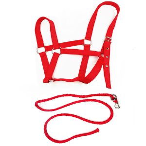 Horse Halter and Lead Rope Set for Riding