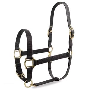 Padded Nylon Halter for Horse Handling and Training