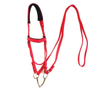 Horse Halter and Reins for Daily Equestrian Use